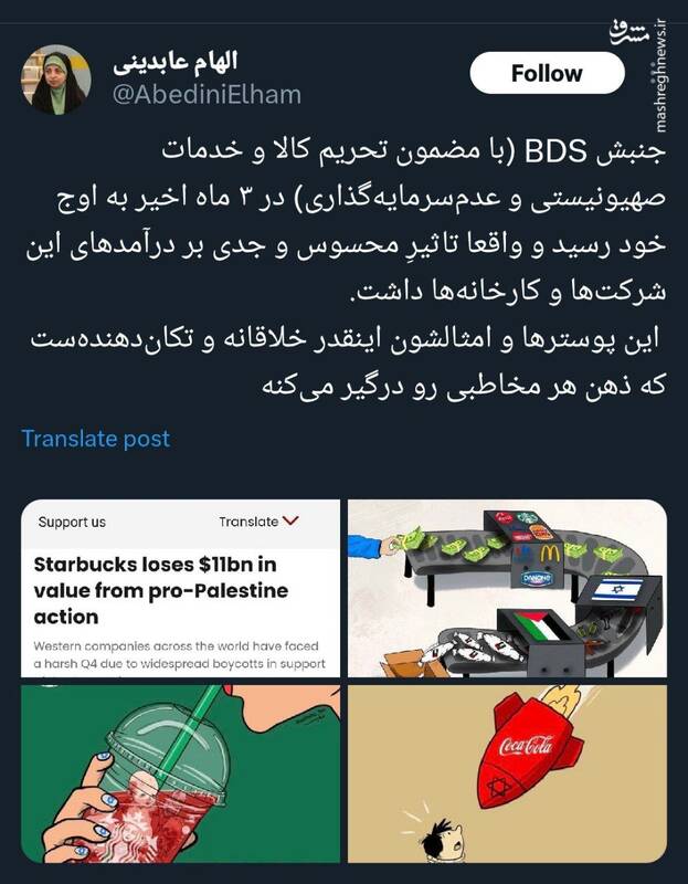 تاثیرگذاری جنبش BDS بر درآمدزایی شرکتهای اسرائیلی