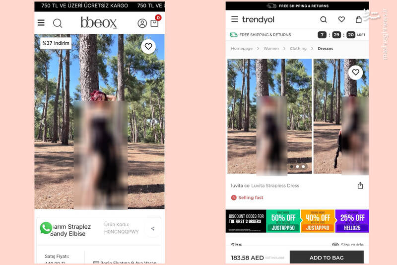 رمزگشایی از شایعات سگ دستآموز اسرائیل علیه شهید رضی +عکس