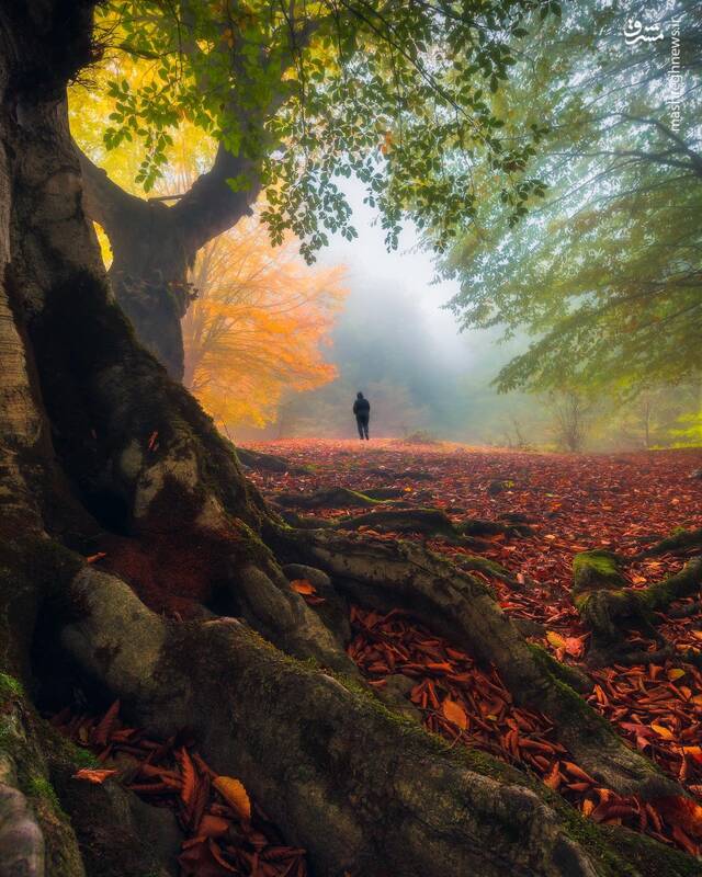 طبیعت زیبای کلاردشت مازندران 2