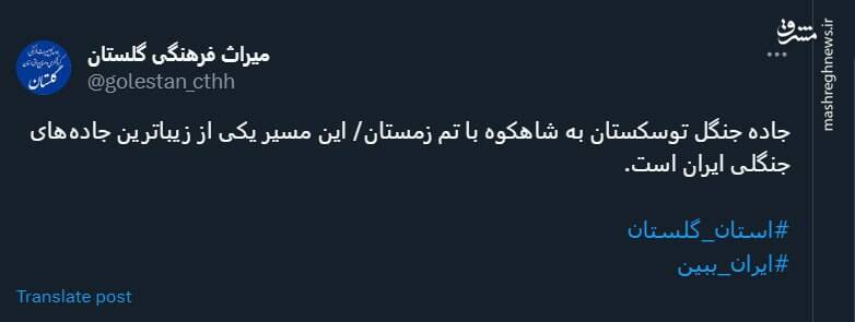 جاده زمستانی جنگل توسکستان به شاهکوه