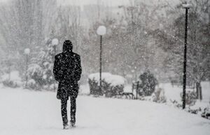 آشتی برف و زمستان در مازندران