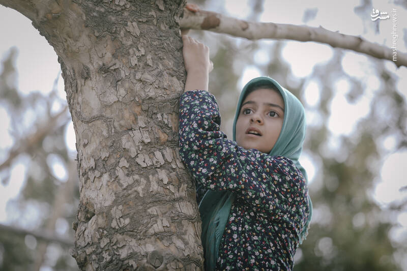 یک عاشقانه آرام تاریخی، به جعبه جادو می‌آید