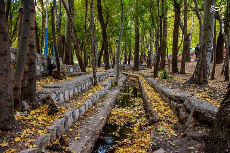 زیباییهای پاییز در طبیعت شازند 2