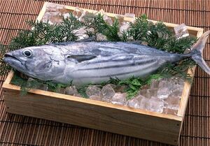 قیمت انواع ماهی و میگو در میادین تره بار