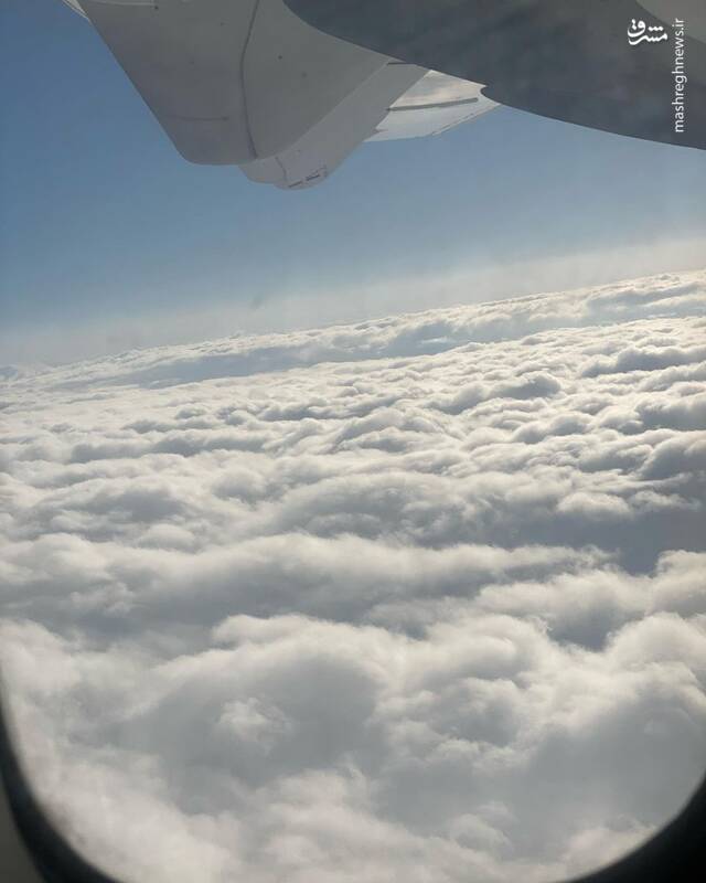 آسمان با ما سر دریغ گذاشته، حواسمان به این گربهٔ شرزهٔ تشنه باشد