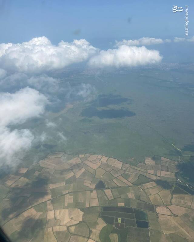 آسمان با ما سر دریغ گذاشته، حواسمان به این گربهٔ شرزهٔ تشنه باشد