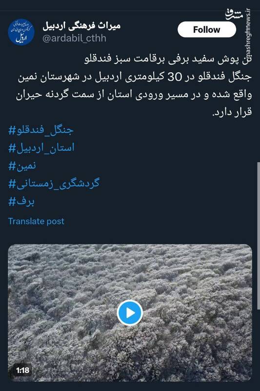 تن پوش سفید برفی بر قامت سبز فندقلو