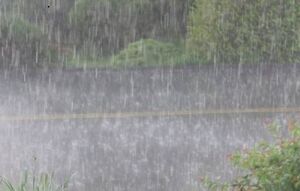 بارش شدید باران در مازندران