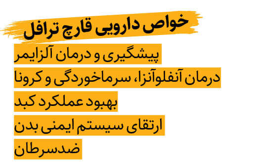 بازار داغ اکسیر جوانی ایران در اروپا و کشورهای عربی | الماس سیاه ایران کیلویی ۳۰۰ میلیون تومان !