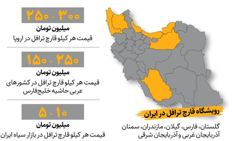 بازار داغ اکسیر جوانی ایران در اروپا و کشورهای عربی | الماس سیاه ایران کیلویی ۳۰۰ میلیون تومان !
