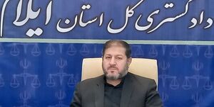 تاکید ویژه رئیس دادگستری ایلام در پی قتل یک کودک خردسال