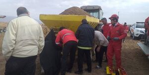 مرگ دلخراش کشاورز ۶۲ ساله در نیشابور
