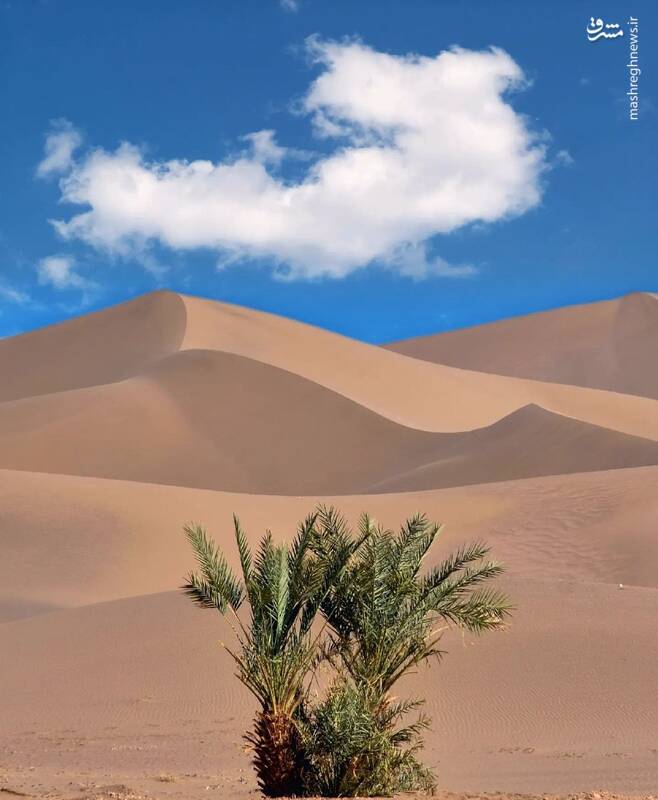 عکسی زیبا را از کویر کاراکال یزد 2