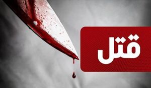 قتل تبعه خارجی در شمال شهر تهران