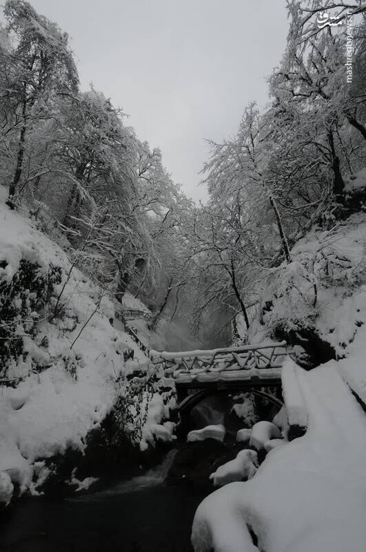تصویری از مسیر زیبای زمستانی آبشار تمام خزه‌ای کبودوال