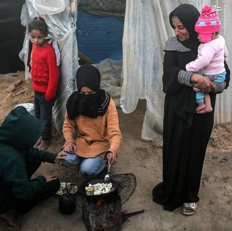 حیات در غزهای که میخواهند فقط بوی مرگ و آوارگی بدهد