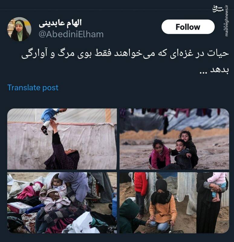 حیات در غزهای که میخواهند فقط بوی مرگ و آوارگی بدهد