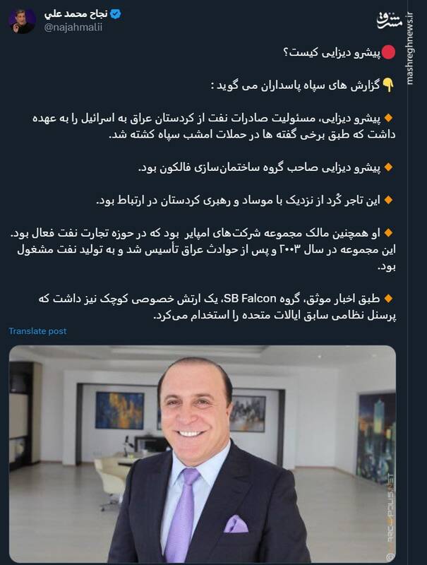 پیشرو دیزایی کیست؟