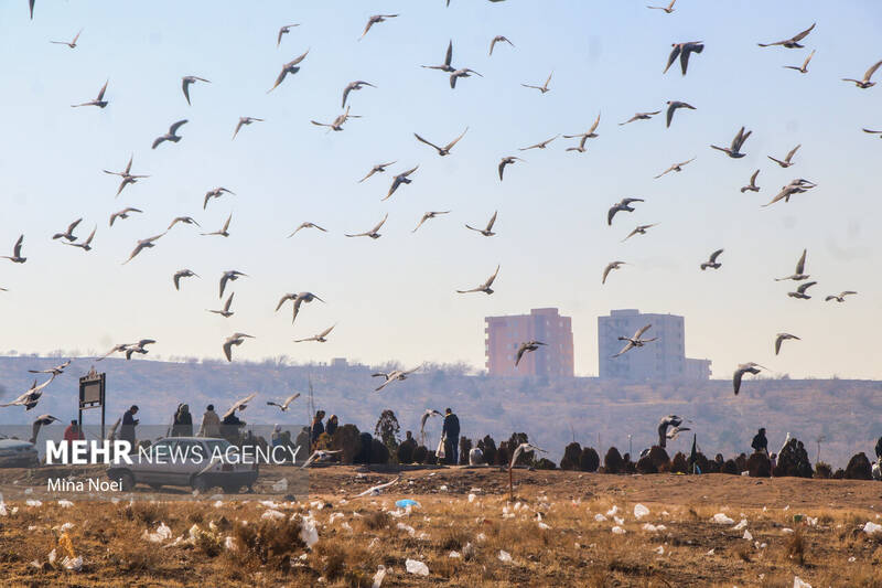 لیله الرغائب در وادی رحمت تبریز