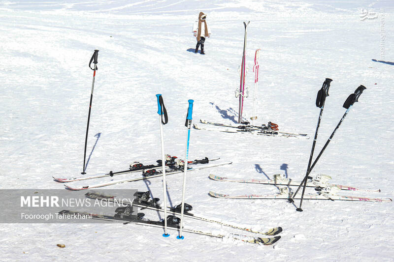 کاش این بساط را جمع کنید! 3