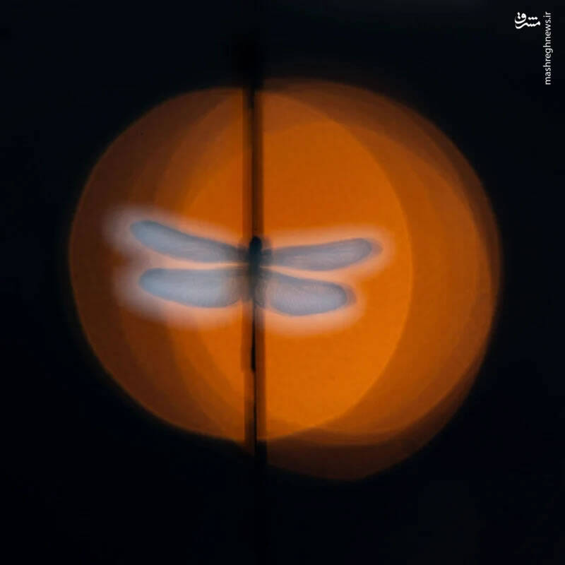 برترین تصاویر نماینزدیک ۲۰۲۳