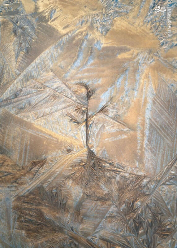 برترین تصاویر نماینزدیک ۲۰۲۳