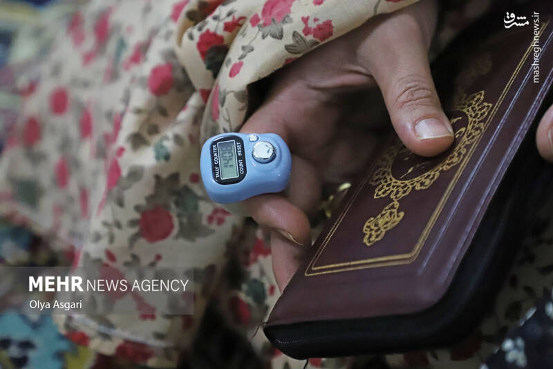 گرگان گرگان