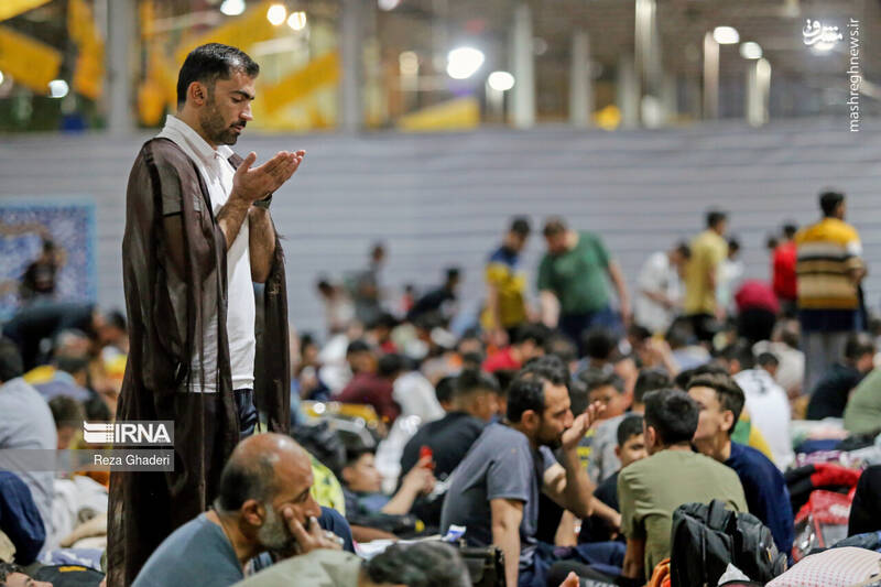 شیراز شیراز