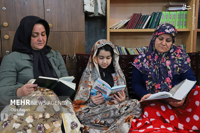 گرگان گرگان