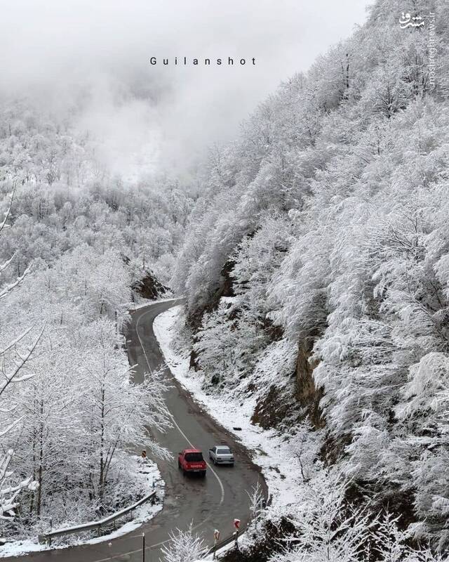 جاده ماسوله در گیلان سفیدپوش شد