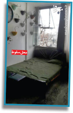 سقوط مرگبار دختر ۱۶ ساله از لانه شیطانی