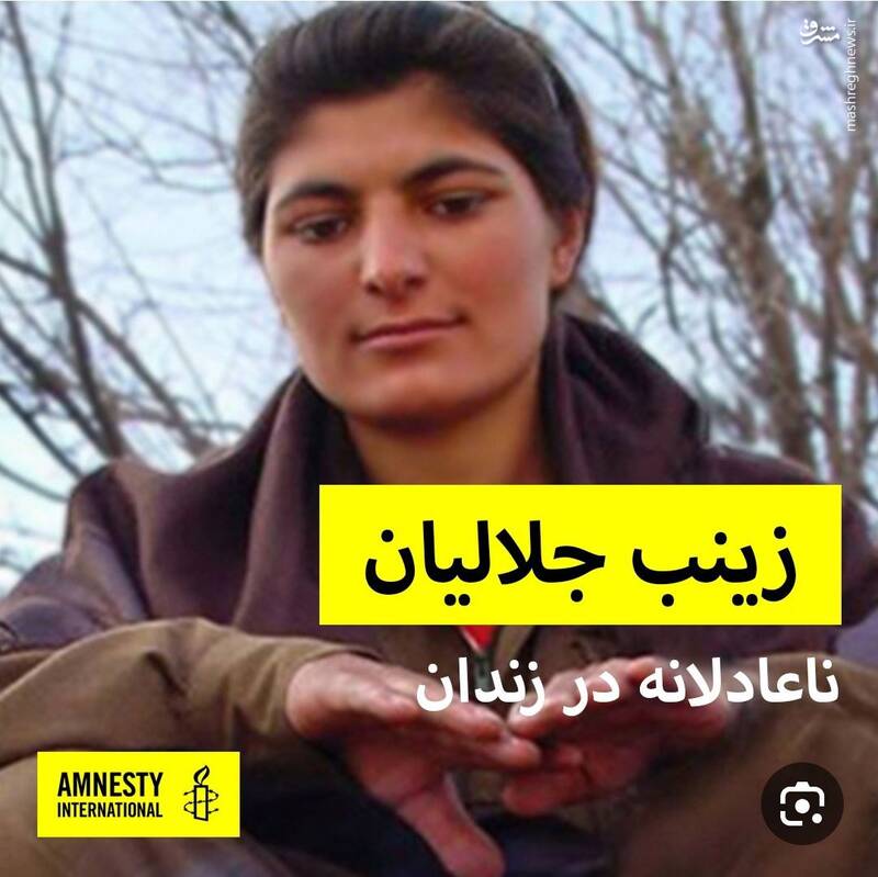 وقتی اینترنشنال تروریست را فعال مدنی جا میزند