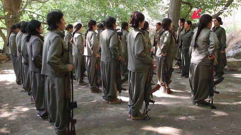 وقتی اینترنشنال تروریست را فعال مدنی جا میزند