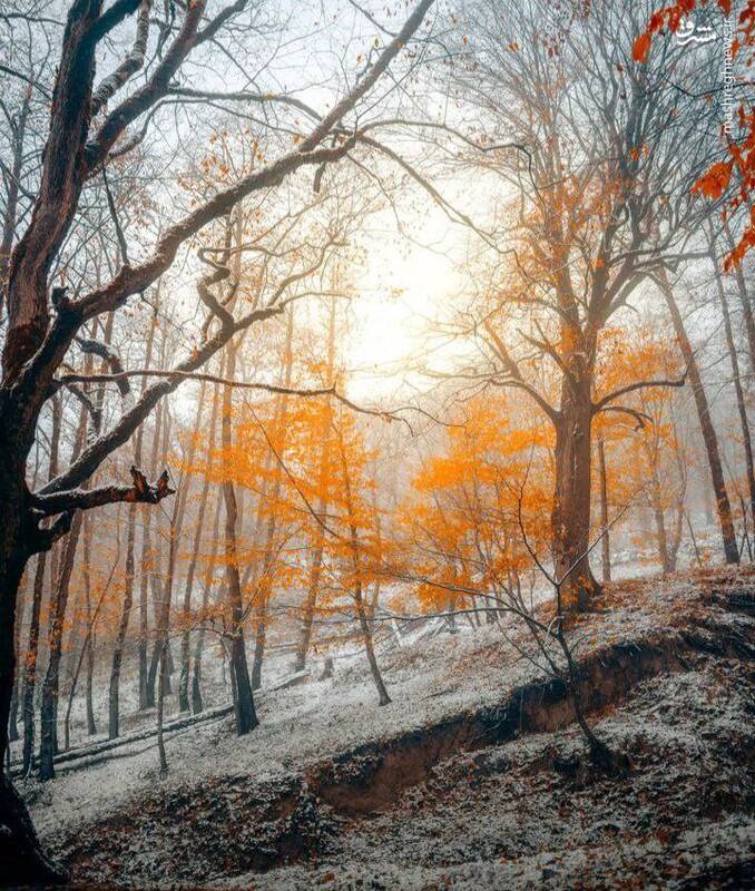 تصاویری از شکوه زمستانی ایران