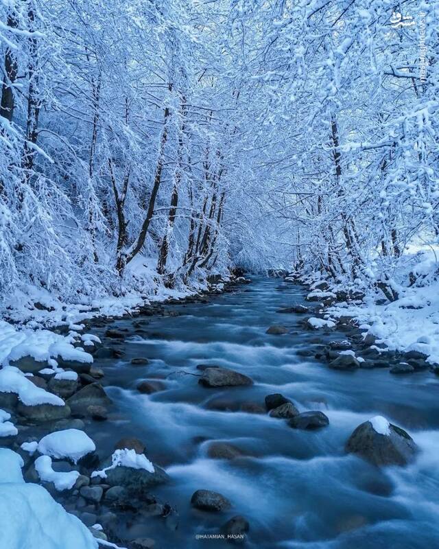 تصاویری از شکوه زمستانی ایران