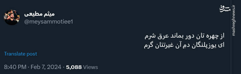 میثم مطیعی: ای یوزپلنگان دمِ آن غیرتتان گرم