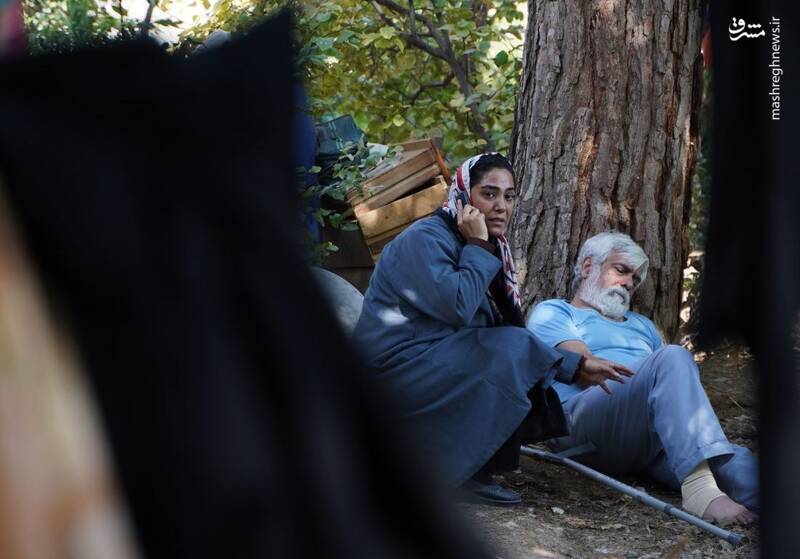 «شکار حلزون» چگونه قضات قوه قضاییه را قضاوت میکند؟