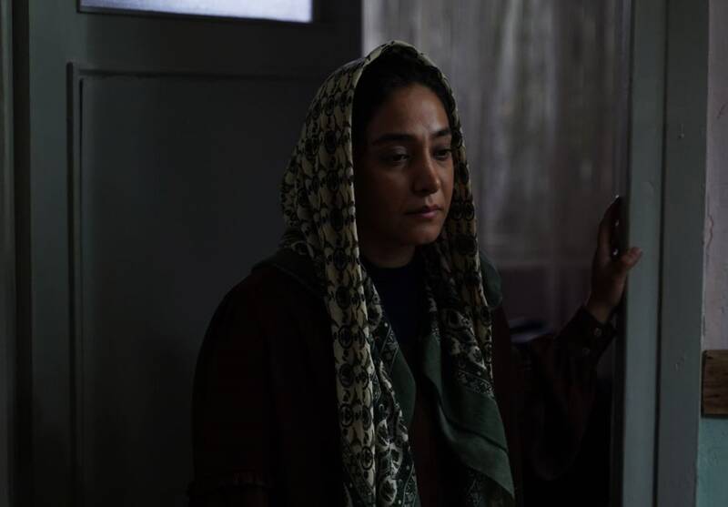 «شکار حلزون» چگونه قضات قوه قضاییه را قضاوت میکند؟