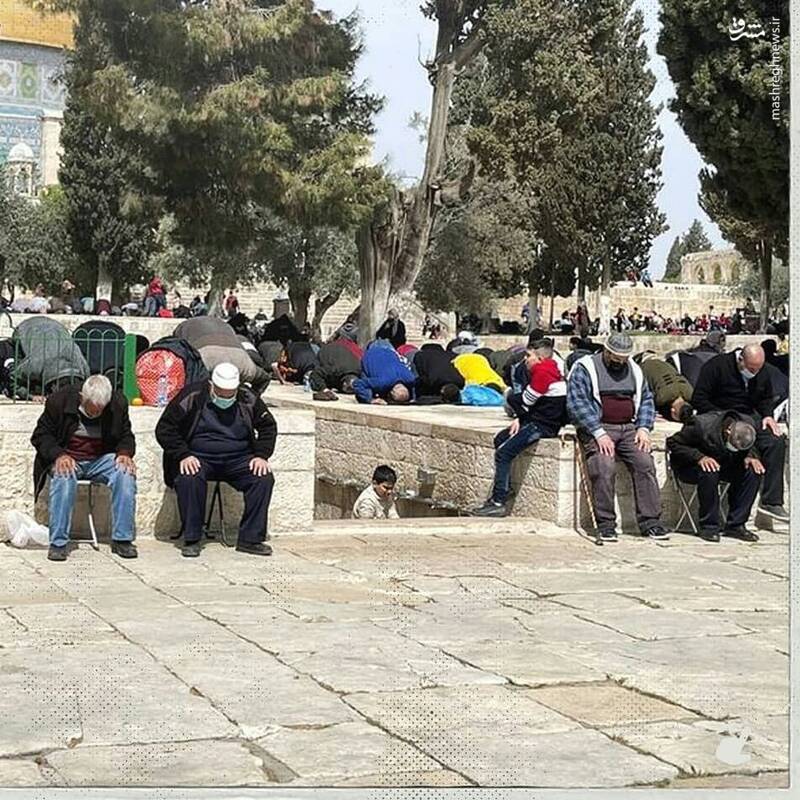 جشن "معراج" و "اسرا" در مسجدالاقصی+ عکس