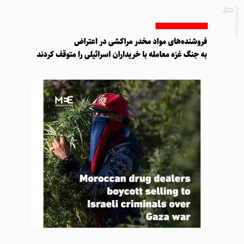 قاچاقچیان مراکشی معامله با خریداران اسرائیلی را متوقف کردند