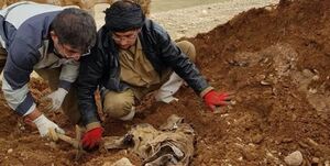 پیکر یک شهید با پلاک در فکه تفحص شد+فیلم