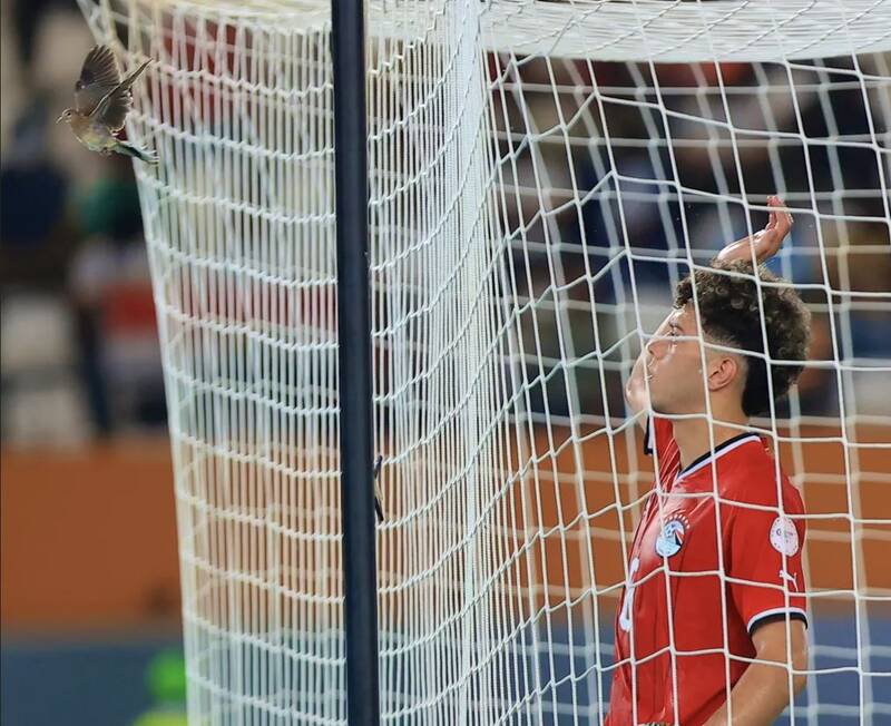 تصاویر زیبا و منتخب از جام ملت های آفریقا 6
