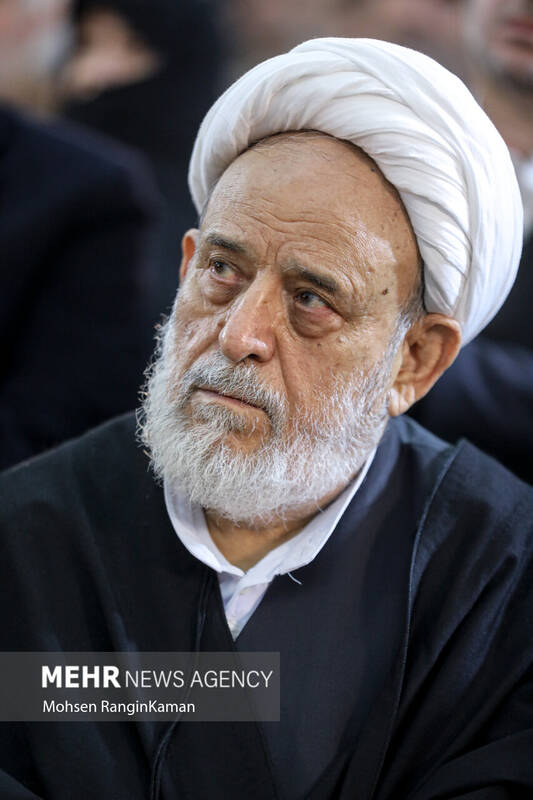 عکس / نکوداشت استاد «شیخ حسین انصاریان» 3