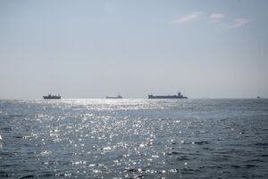 واکنش آمریکا به حمله یمن علیه یک کشتی باری در خلیج عدن