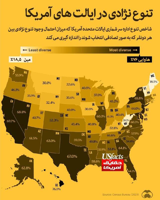 میزان تنوع نژادی در ایالت های آمریکا چقدر است؟