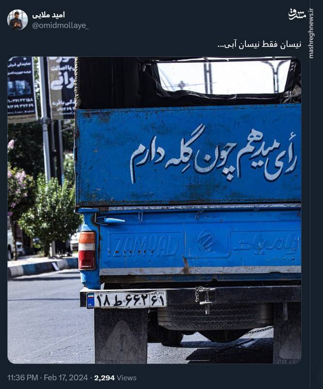 رأی میدهم چون گله دارم + عکس