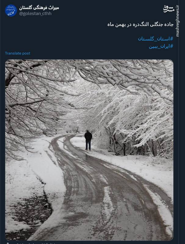 زمستان جاده جنگلی النگدره گلستان