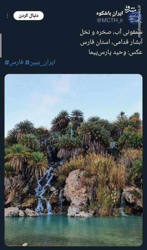 تصویری زیبا از سمفونی آب، صخره و نخل