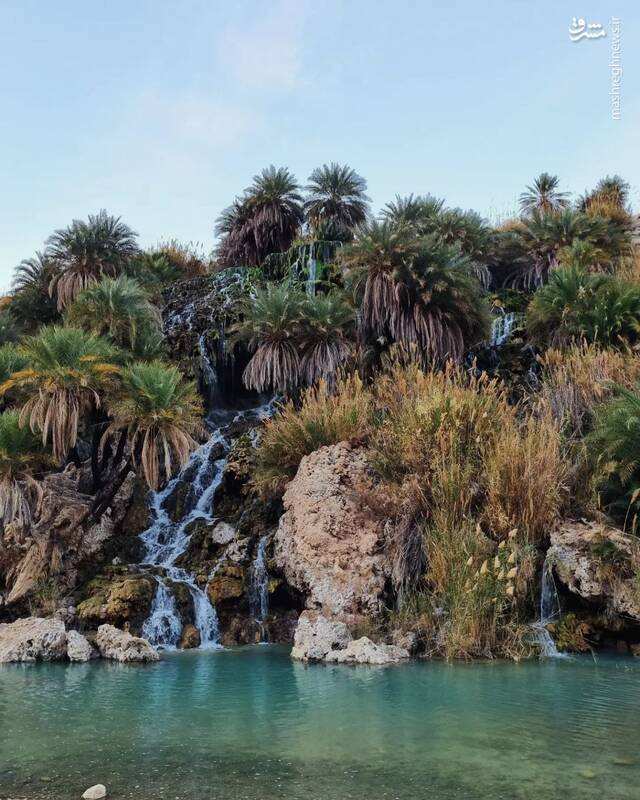 تصویری زیبا از سمفونی آب، صخره و نخل 2
