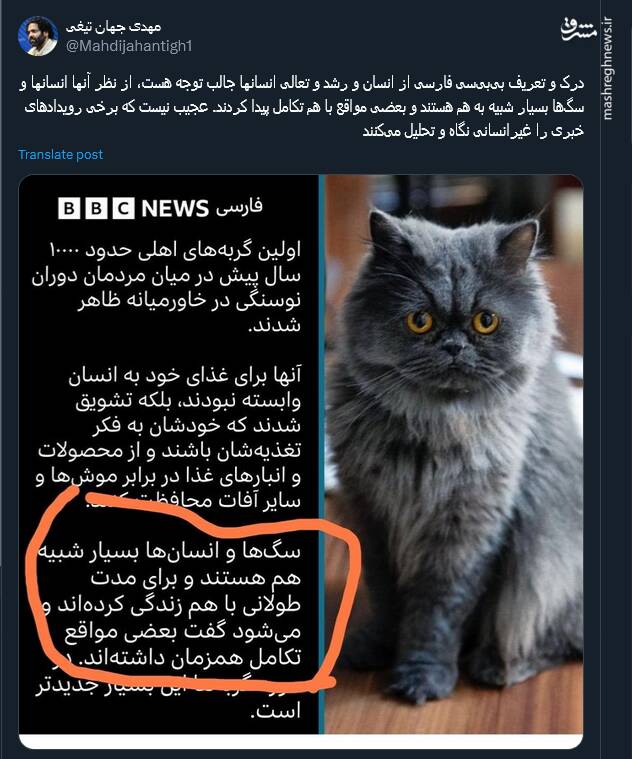 درک بیبیسی فارسی از رشد و تعالی انسان